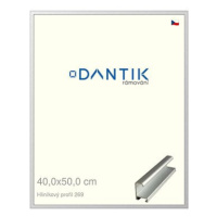 DANTIK rámeček 40 × 50, ALU profil 7269 Stříbrný matný plexi čiré