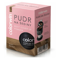 COLORWIN Pudr na šediny plavý 3,2 g