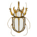 KARE Design Dekorace na zeď Beetle Zrcadlo
