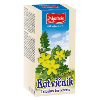 Apotheke Kotvičník zemní nálevové sáčky 20x1,5 g