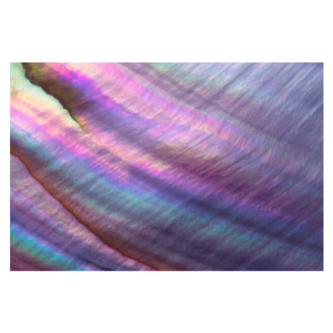 Umělecká fotografie Colorful Pearl Shell Macrophotography, MirageC, (40 x 26.7 cm)