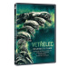 Vetřelec: Kompletní kolekce / Alien Collection 6 disků - DVD