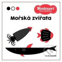 Montessori pro miminka: Mořská zvířata - kniha z kategorie Pro děti