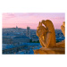 Fotografie FRANCE, PARIS, VIEW OF NOTRE DAME CATHEDRAL, Sylvain Sonnet, (40 x 26.7 cm)