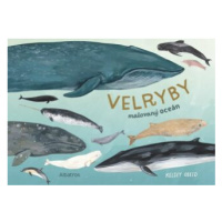 Velryby - Kelsey Oseid