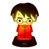 Icon Light Harry Potter - Chytač