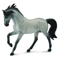Andaluský kůň - šedivý