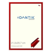 DANTIK rámeček 21 × 29,7, ALU profil 7269 Červený Trumalin broušený sklo čiré