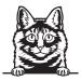Vsepropejska Kurilský bobtail kočka dřevěná dekorace na zeď Rozměr (cm): 38 x 35