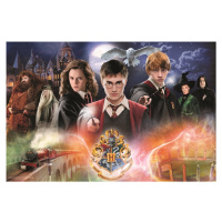 Tajemný Harry Potter 300 dílků