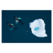 Fotografie aerial view of whales swimming among icebergs, Monica Bertolazzi, 40 × 26.7 cm