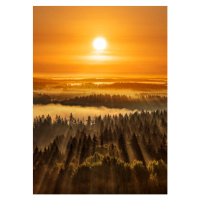 Umělecká fotografie Golden beautiful foggy forest sunbeams, Aulanko,, Milamai, (30 x 40 cm)
