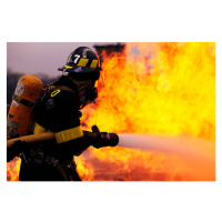 Fotografie Firefighter Battling Flame, Ted Horowitz Photography, 40x26.7 cm