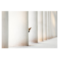 Fotografie Bella and the Pillars of the Earth, Heike Willers, 40 × 26.7 cm