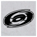 Dřevěný obraz - Logo Carolina Hurricanes