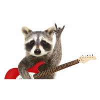 Fotografie Portrait of a funny raccoon with, Sonsedska, 40 × 26.7 cm