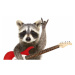 Fotografie Portrait of a funny raccoon with, Sonsedska, 40 × 26.7 cm