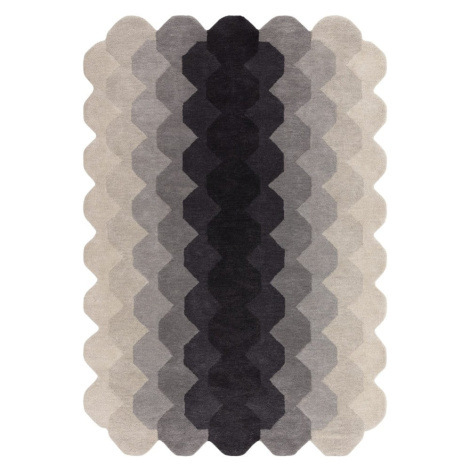 Šedý vlněný koberec 120x170 cm Hive – Asiatic Carpets