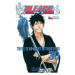 Bleach 30: There is no heart without you