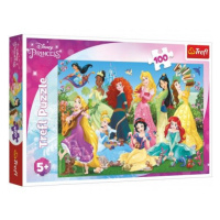 Puzzle Půvabné princezny/Disney 100 dílků 41x27,5cm v krabici 29x19x4cm