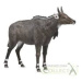 MAC TOYS - COLLECTA Nilgai