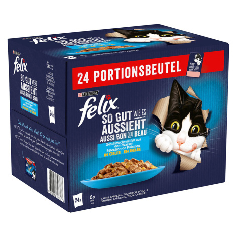 Felix kapsičky, 48 x 85 g - 38 + 10 zdarma - Fantastic treska, losos, tuňák, platýs