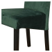 Jídelní židle FUCHSIA zelená/černá