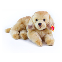 plyšový pes zlatý retrívr ležící, 32 cm