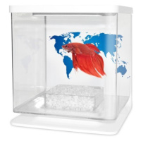 Cat-Gato Betarium Betta kit world map 2 l