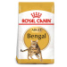 ROYAL CANIN Bengal Adult granule pro kočky 10 kg