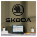 Dřevěný nápis a logo auta - Škoda