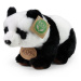 Plyšová panda sedící nebo stojící 22 cm ECO-FRIENDLY