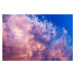 Fotografie Surreal science fiction fantasy cloudscape, purple, Andrew Merry, (40 x 26.7 cm)