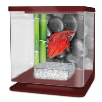 Cat-Gato Betarium Betta kit stones 2 l