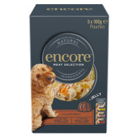 Encore Jelly Pouch Mix 5 × 100 g - Meat Selection