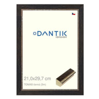 DANTIK rámeček 21 × 29,7, TOMAS černý sklo čiré