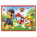 Puzzle 2v1 + pexeso Psí tým Tlapková patrola/Paw Patrol 27,5x20,5cm v krabici 28x28x6cm