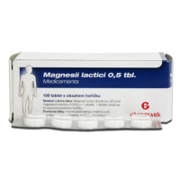 Medicamenta Magnesii lactici 0.5 tbl. 100 tablet