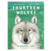 Fourteen Wolves (A Rewilding Story) - Catherine Barr, Jenni Desmond (ilustrátor) - kniha z kateg