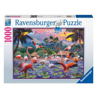 Ravensburger 17082 puzzle růžoví plameňáci 1000 dílků