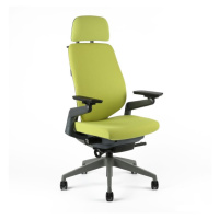 Kancelářská ergonomická židle Office Pro KARME — více barev, s podhlavníkem a područkami Zelená 