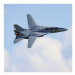 E-flite F-14 Tomcat 0.76m BNF Basic