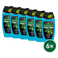 PALMOLIVE For Men Revitalizing Sport 3v1 6 × 250 ml