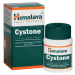 Himalaya Herbals Cystone 100 tablet