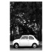 Fotografie Mini Car Baw, Pictufy Studio, (26.7 x 40 cm)