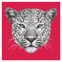 Fotografie Portrait of Leopard., Victoria_Novak, 40 × 40 cm