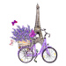 Ilustrace Butterflies, Eiffel tower, bicycle with lavender, zzorik, 35.4 × 40 cm