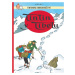 Tintin 20 - Tintin v Tibetu - Hergé