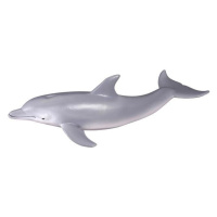 Collecta delfín
