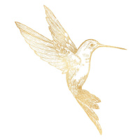 Ilustrace Gold Bee Hummingbird Isolated. Hand Painted, Gokcemim, 40 × 40 cm